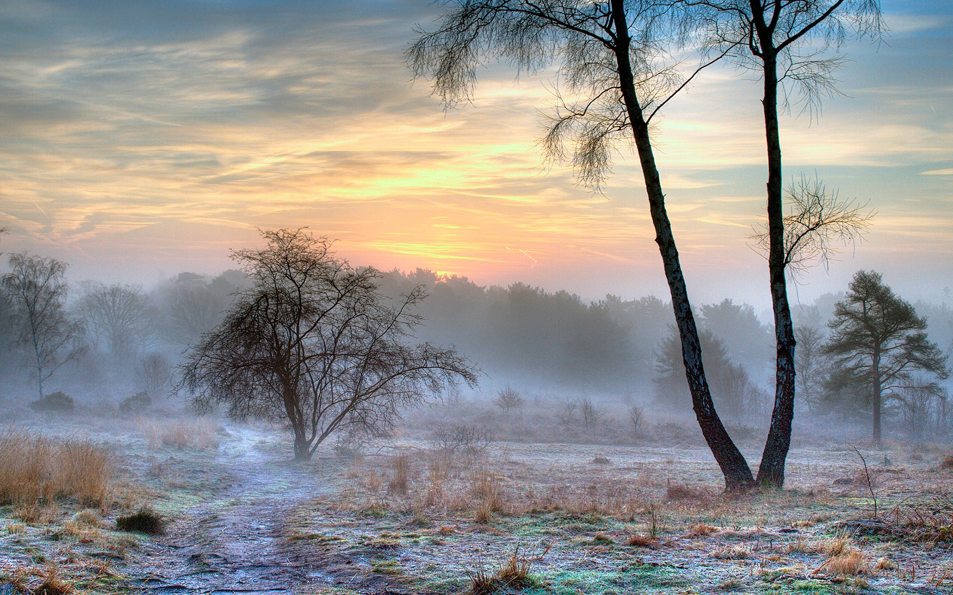 Март утро картинки красивые природе. Туманный пейзаж. Ранняя зима.