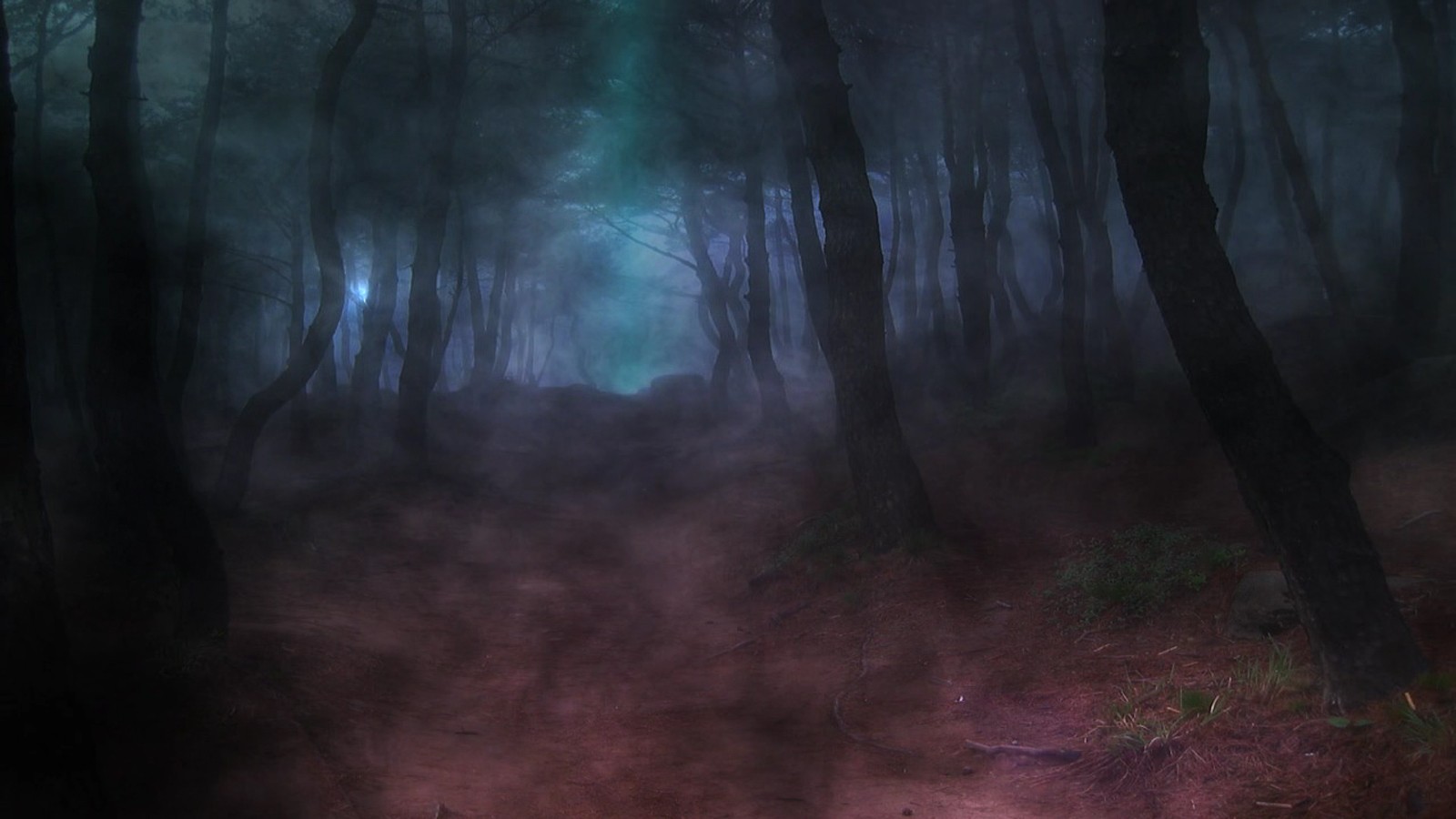 Страшный лес в тумане